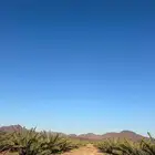 للبيع مزرعة مميزة بصك شرعي في شجوى بالمدينة المنورة