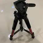 ستاند   تريجر