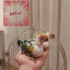 مجموعة فروخ