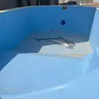 جدة الحرازات