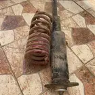 دوج مسعد 2015