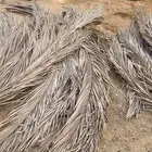 عسب نخل للعرايش