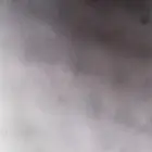 مطلوب زوج صنعاني مطلوب زوج صنعاني