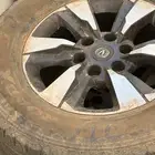 جنوط هنتر شانجان