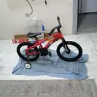 سيكل مقاس 16