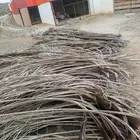 صريف او سعف سواتر للبيع