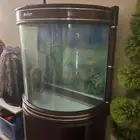 أحواض سمك للبيع