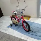 سيكل مقاس 14