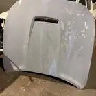 كبوت موستينغ