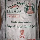 بذر شعير سداسي (جستو)