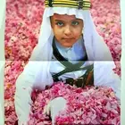 ألعاب وبوسترات مجلات ماجد وباسم وفلة