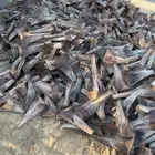 كرب نخيل للبيع