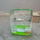 عصافير للبيع