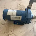 دينمو سمنان 1 حصان