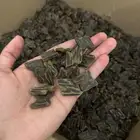 عرض تصفيه على عود فاخر