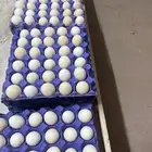 بيض مائدة بلدي طازج من مزرعة الفارس علي