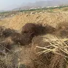 حديد سكراب للبيع