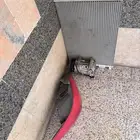 قطع غيار اكسنت 2015