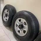 جنوط ديازل مع البوالين