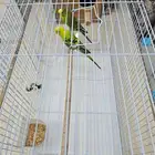 بادجي للبيع بكامل ملحقاته ب 200 ريال فقط