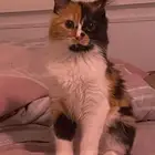 المدينه المنوره