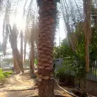 الخرج...مخرج 5