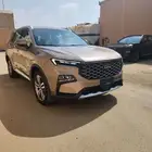 تيرتوري 2023 فل كامل ذهبي