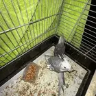 الباحه المندق