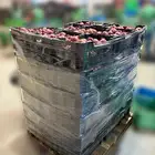 للبيع بصل أحمر طازج   جودة متوسطة