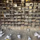 حمام سلفر سوبر جامبو