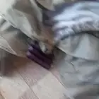 للبيع شراع فكسار