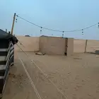 ايجار يومي الكهرباء على طاقه