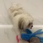 الرياض حي النموذجية