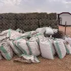 تمر للبهايم