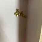 لولو اصفر طبيعي