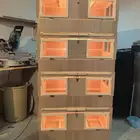 حضانة صوص إنتاج دواجن