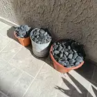 حصى أسود ديكور للبيع