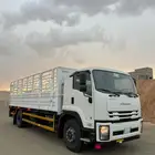 دينا ايسوزو 2023