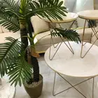 للبيع طقم طاولات   بلازما تلفزيون   شجر ديكور