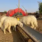 رخال تاسيس ومشروع