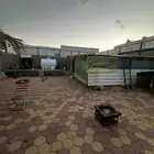 حوش غنم او دجاج