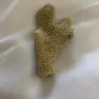 مرجان الهيكل العضمي طبيعي ابيض