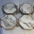 طوايل مجلس ارضي