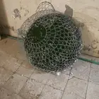 شبك عرض ونقل حمام دجاج كبير وقوي جدا  جدا