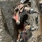 دودة درقسون ومرسيدس بوز