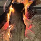 حطب وفحم الاسعار سعر جمله ورخيص الوزن 10كيلو وكرتون الفحم 10