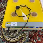 فقاسة 98 بيضه