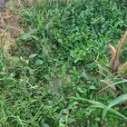 اعلاف مجانا لوجه الله