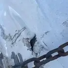 بودي ربع 2015