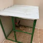 دجاجه وديك مع قفصهم